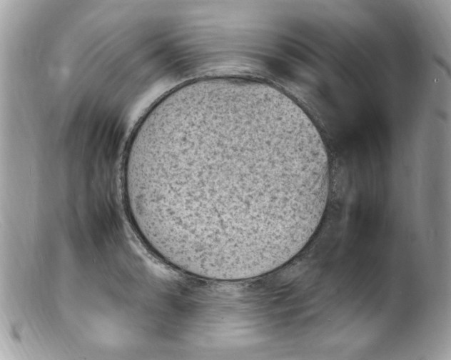 X0000098161086200805151223