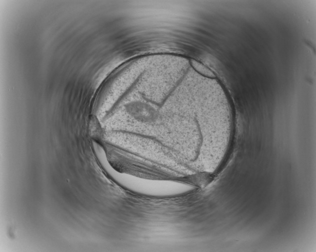 X0000098161089200805151223