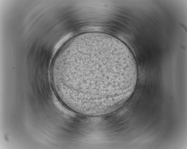 X0000098161090200805151223