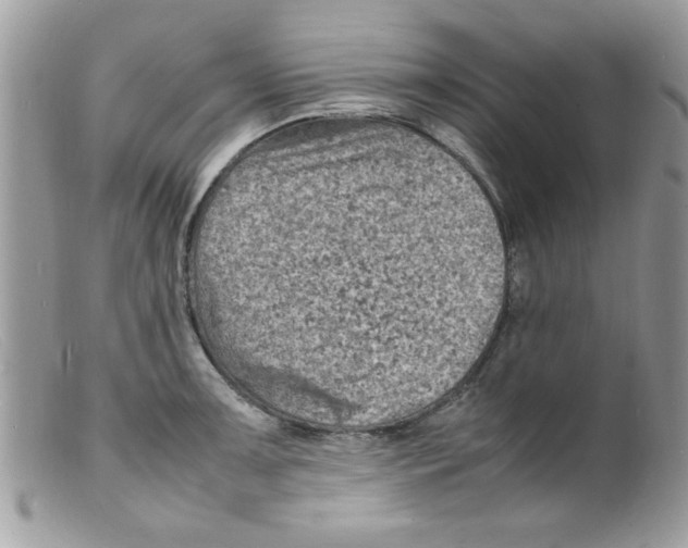 X0000098161091200805151223