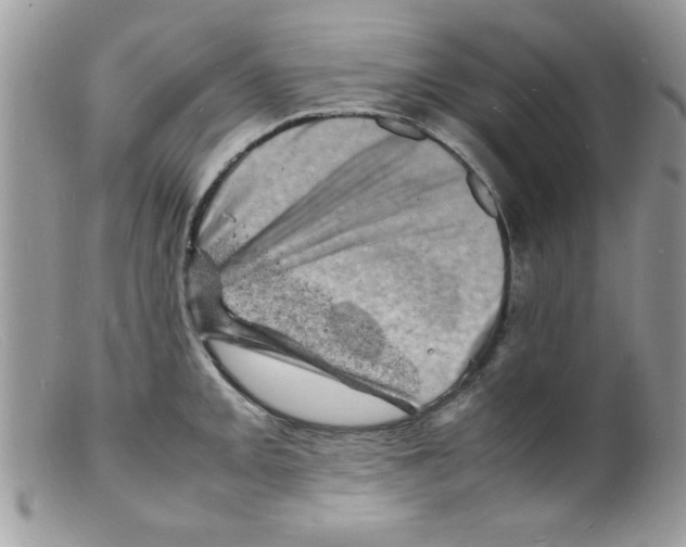 X0000098161093200805151223