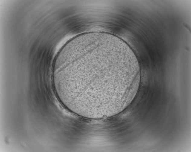 X0000098161094200805151223