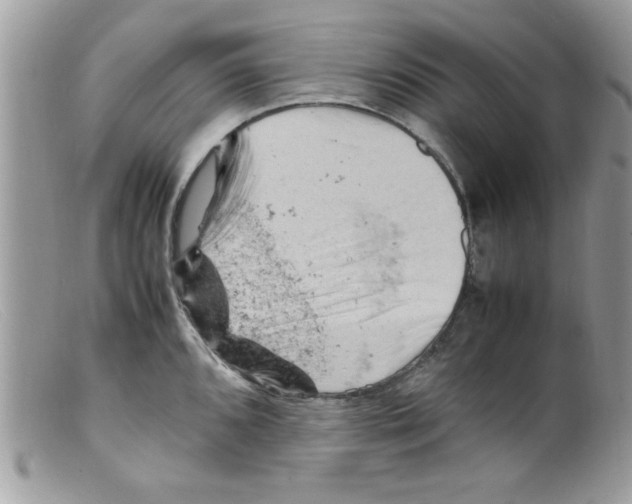 X0000098161096200805151223