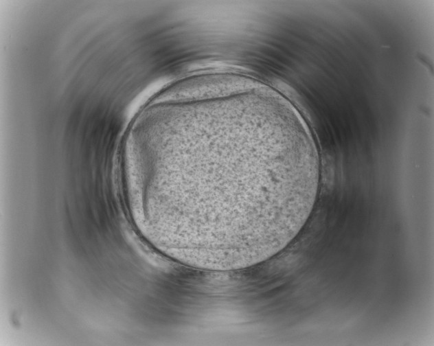 X0000098161098200805151223