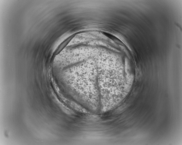 X0000098161101200805151223