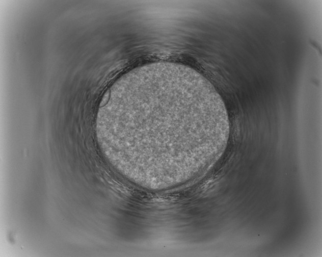 X0000098161105200805151222