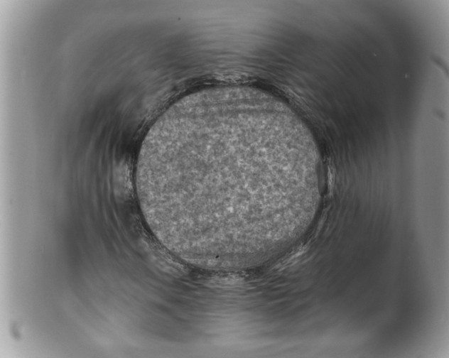 X0000098161106200805151222