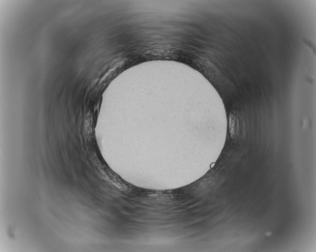 X0000098161107200805151222