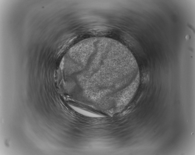 X0000098161108200805151222