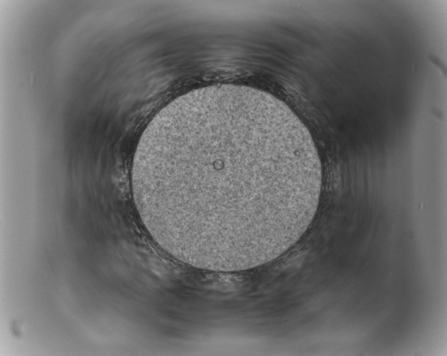 X0000098161109200805151222