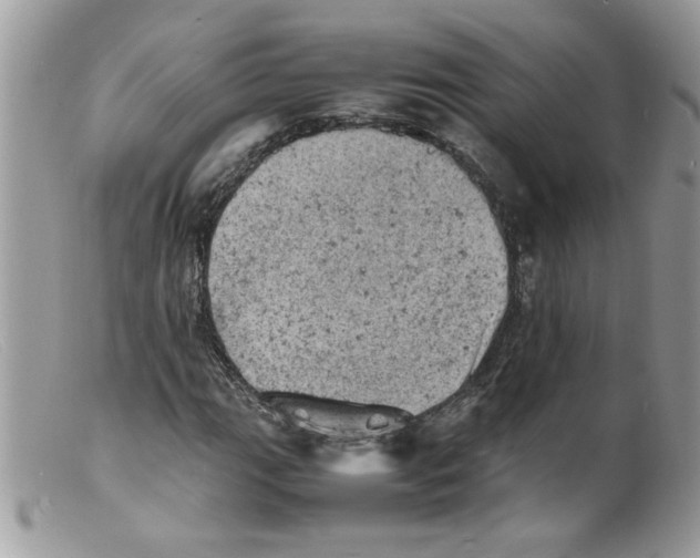 X0000098161111200805151222
