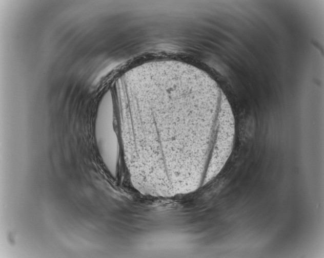 X0000098161112200805151222
