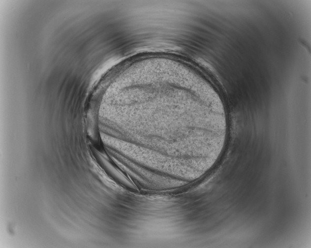 X0000098161114200805151222