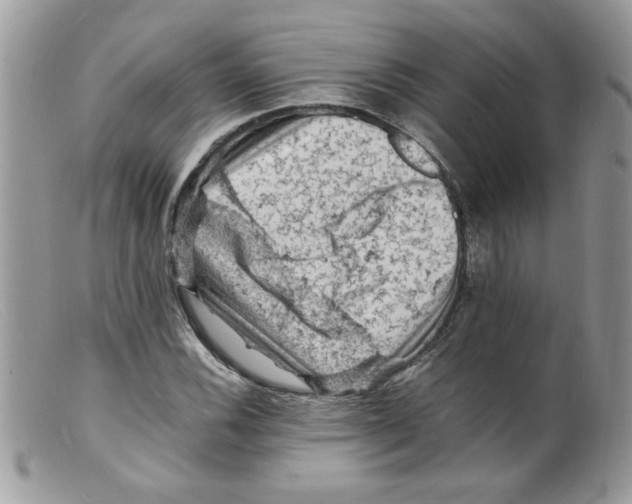 X0000098161116200805151222