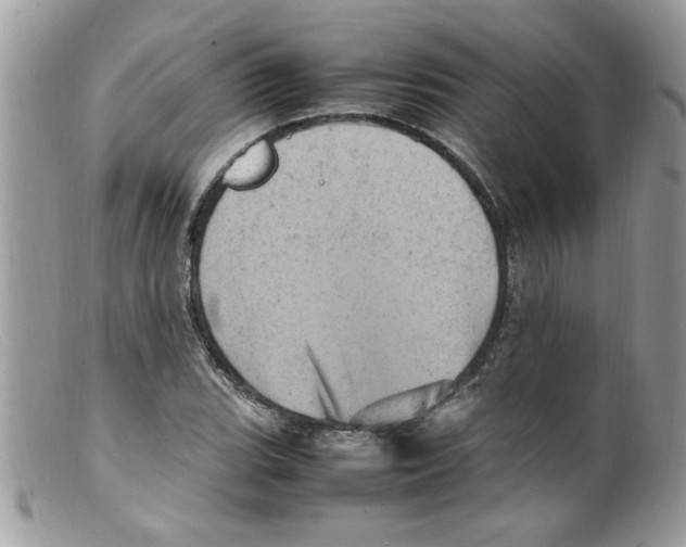 X0000098161119200805151222