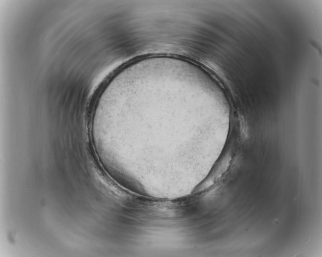 X0000098161120200805151222