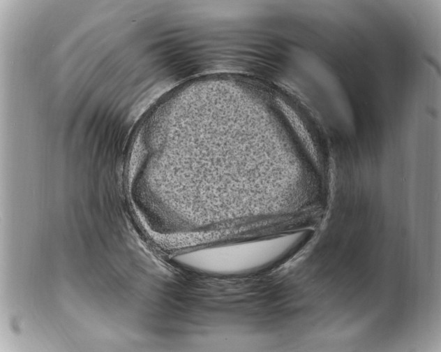 X0000098161121200805151222