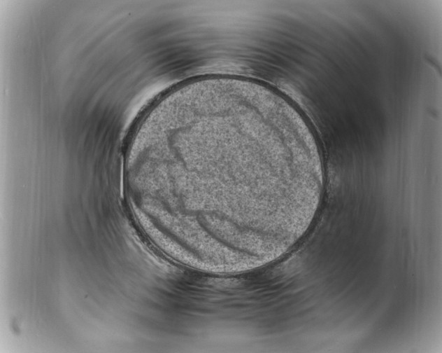 X0000098161123200805151222