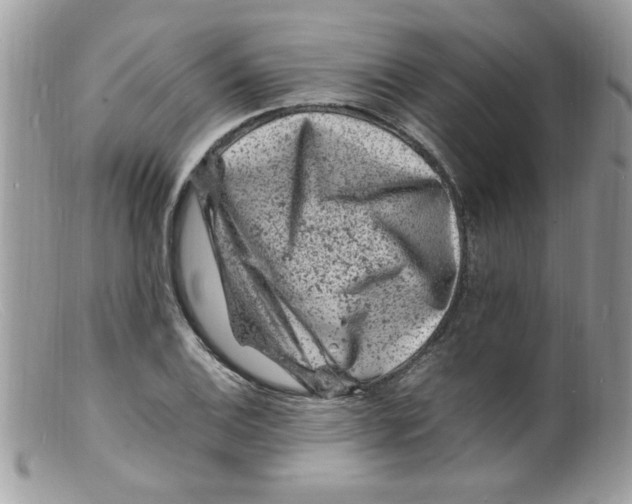 X0000098161124200805151222