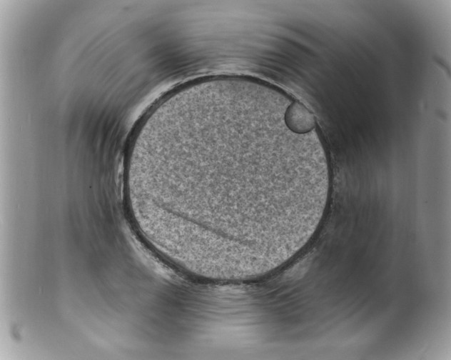 X0000098161126200805151222