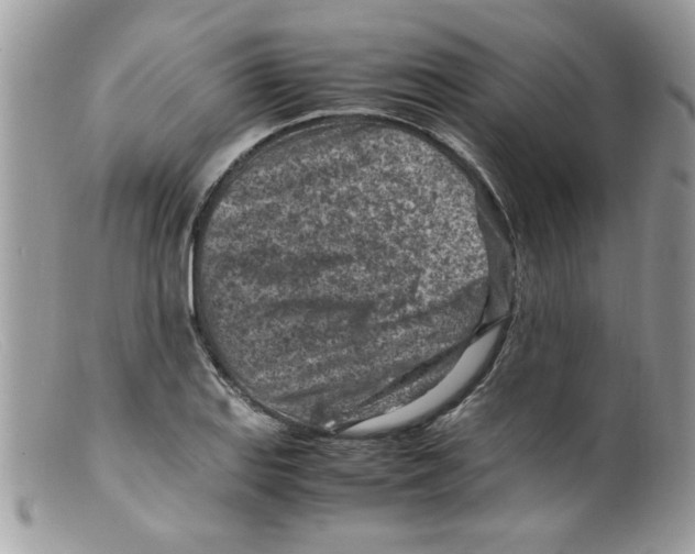 X0000098161127200805151222
