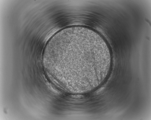 X0000098161129200805151222