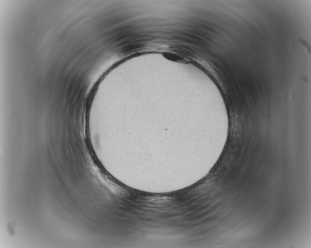 X0000098161131200805151222