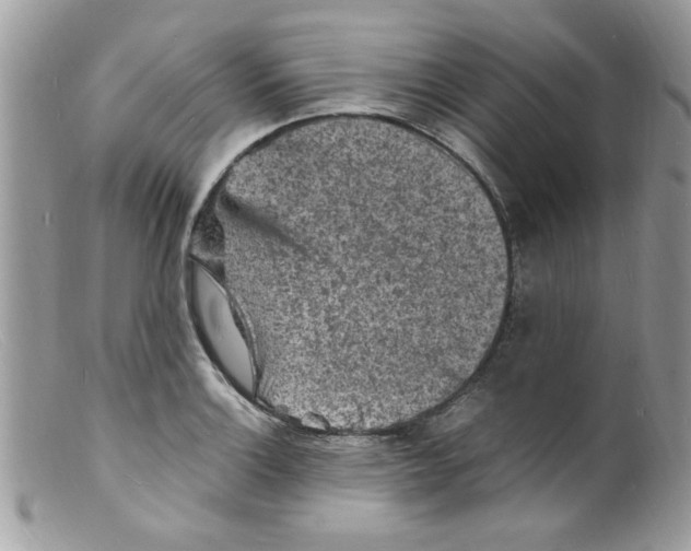 X0000098161132200805151222