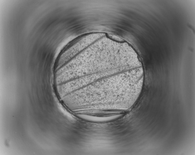X0000098161136200805151223