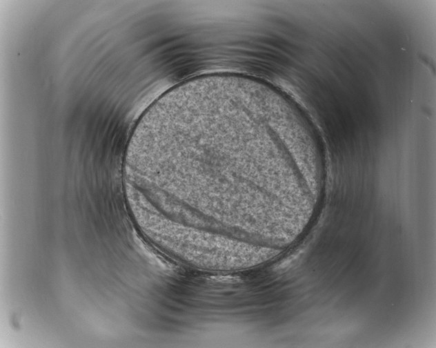 X0000098161137200805151223