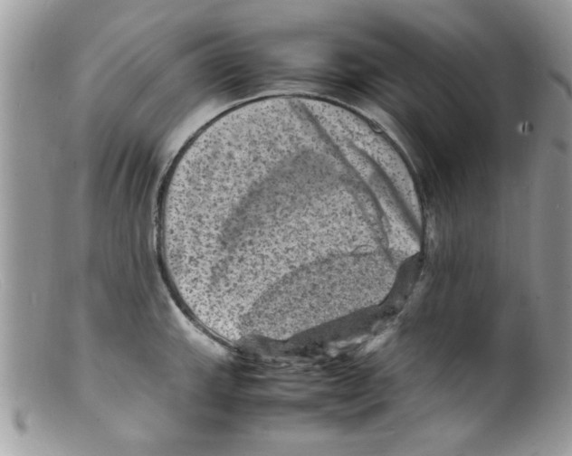 X0000098161143200805151223