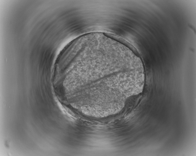 X0000098161144200805151223