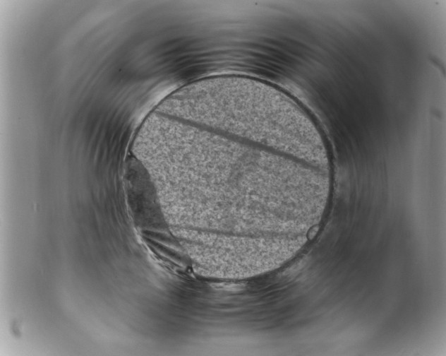 X0000098161145200805151223