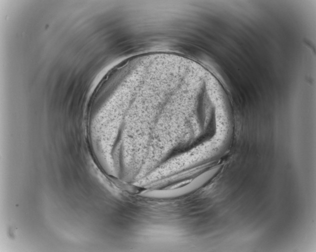 X0000098161148200805151223