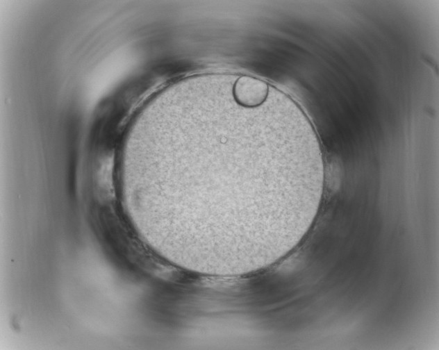 X0000098161150200805151223