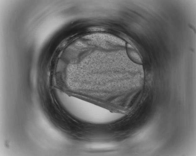 X0000098161151200805151223