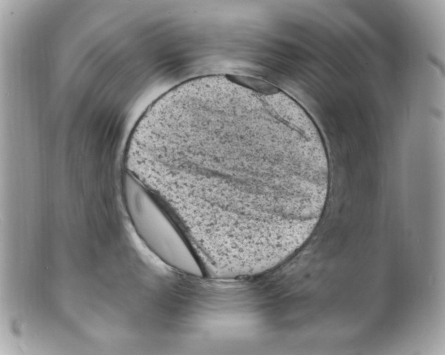 X0000098161152200805151223
