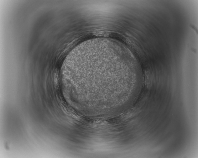 X0000098161154200805151222