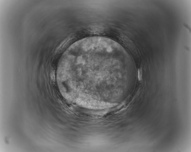 X0000098161155200805151222