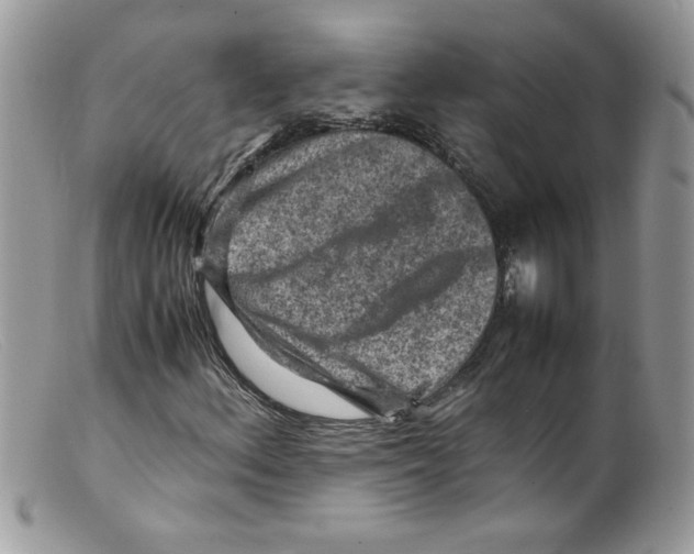 X0000098161156200805151222