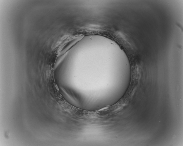 X0000098161157200805151222