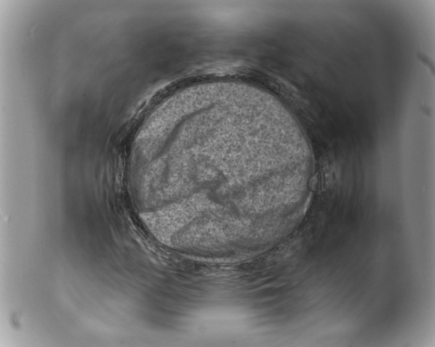 X0000098161158200805151222