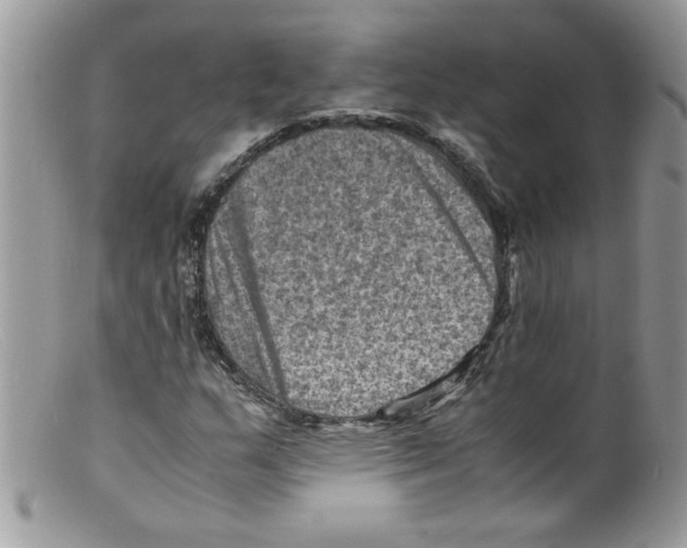 X0000098161159200805151222