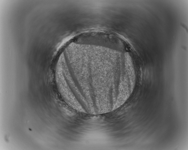 X0000098161160200805151222
