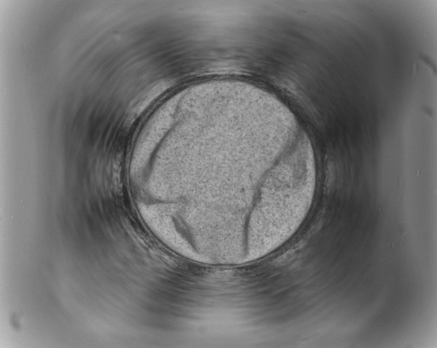 X0000098161162200805151222