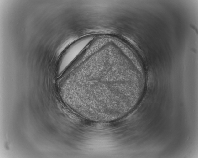 X0000098161163200805151222