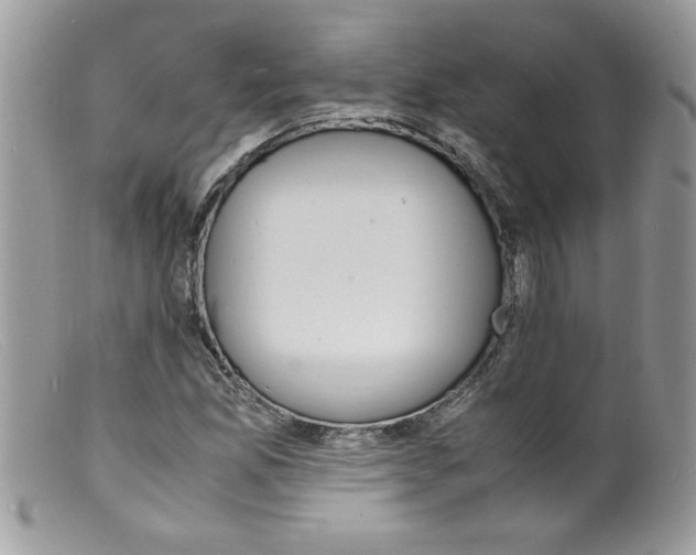 X0000098161165200805151222