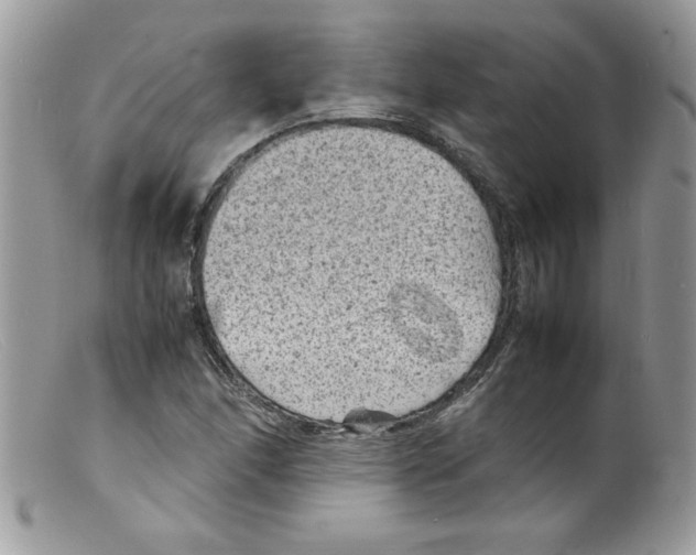 X0000098161166200805151222