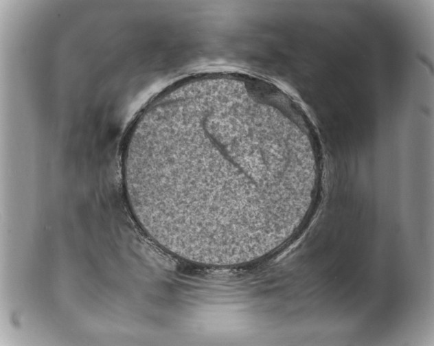 X0000098161167200805151222