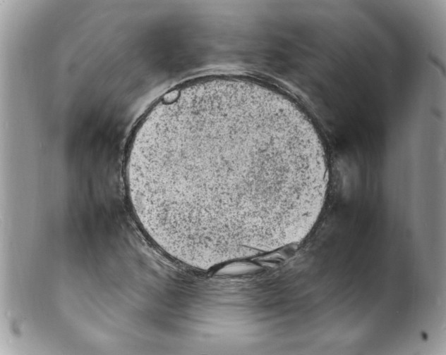 X0000098161168200805151222